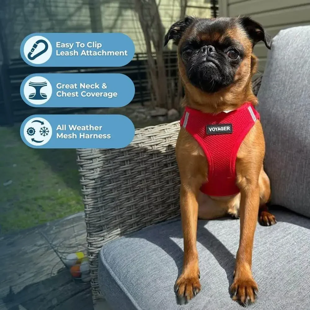 VOYAGER STEP-IN AIR Air Mesh Harness XXXS available in red, dark pink & light